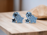 Silver Fancy Studs